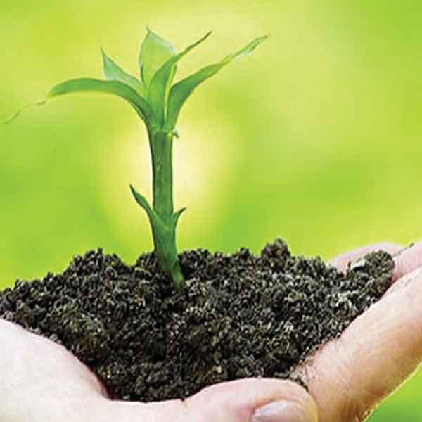 انواع کودها و موارد مصرف آن‌ها در کشاورزی و باغداری